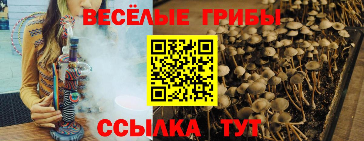 ГАШИШ  Сыктывкар  Cocaine  МЕФ кристаллы  Вход с VPN  Меф 