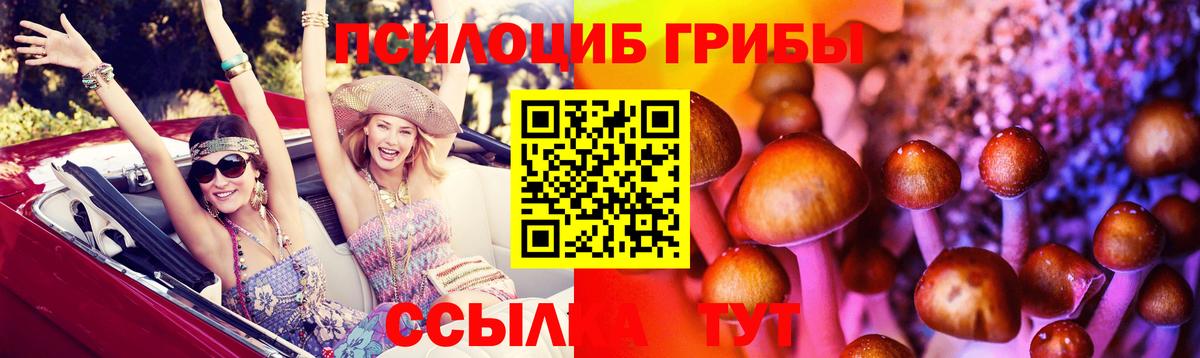 Галлюциногенные грибы Cubensis  Вход с VPN  Сыктывкар 
